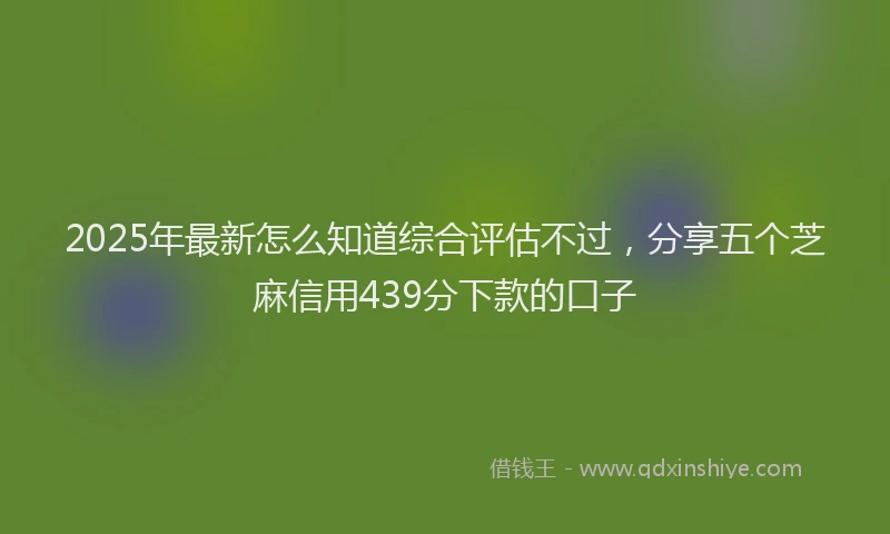 2025年最新怎么知道综合评估不过，分享五个芝麻信用439分下款的口子