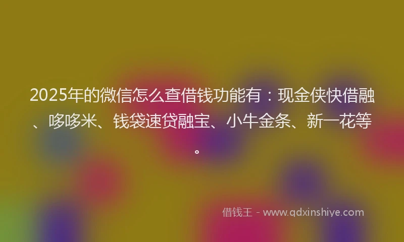 2025年的微信怎么查借钱功能有：现金侠快借融、哆哆米、钱袋速贷融宝、小牛金条、新一花等。