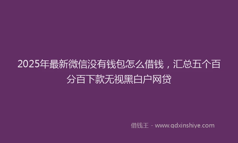 2025年最新微信没有钱包怎么借钱，汇总五个百分百下款无视黑白户网贷