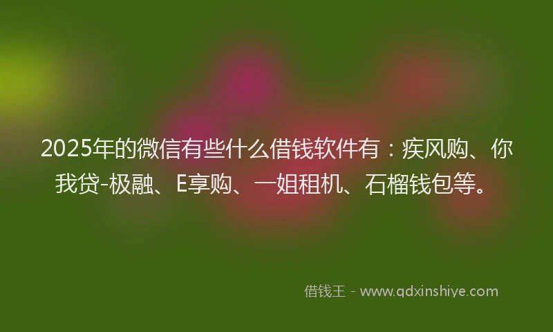 2025年的微信有些什么借钱软件有：疾风购、你我贷-极融、E享购、一姐租机、石榴钱包等。