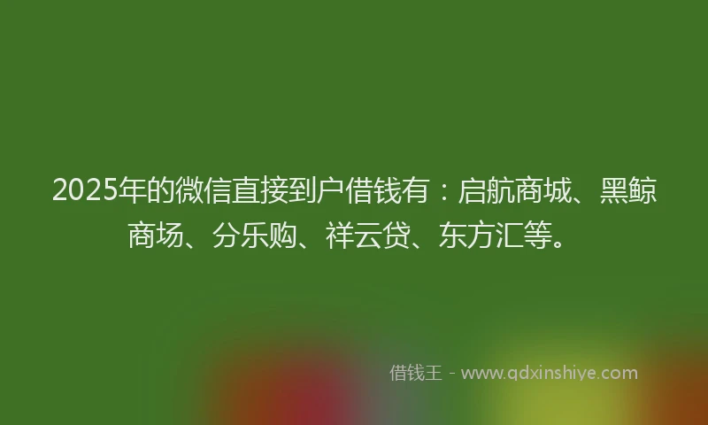 2025年的微信直接到户借钱有：启航商城、黑鲸商场、分乐购、祥云贷、东方汇等。