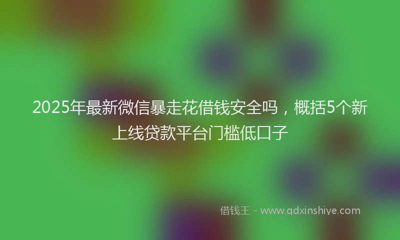 2025年最新微信暴走花借钱安全吗，概括5个新上线贷款平台门槛低口子