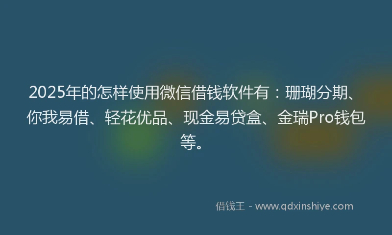 2025年的怎样使用微信借钱软件有：珊瑚分期、你我易借、轻花优品、现金易贷盒、金瑞Pro钱包等。
