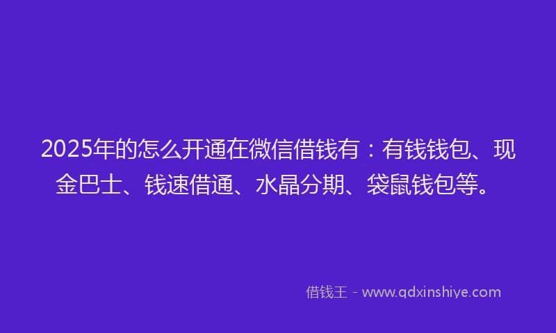 2025年的怎么开通在微信借钱有：有钱钱包、现金巴士、钱速借通、水晶分期、袋鼠钱包等。