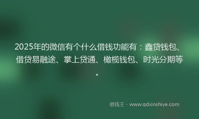 2025年的微信有个什么借钱功能有：鑫贷钱包、借贷易融途、掌上贷通、橄榄钱包、时光分期等。