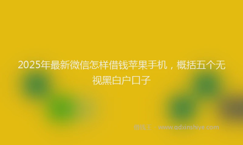 2025年最新微信怎样借钱苹果手机，概括五个无视黑白户口子