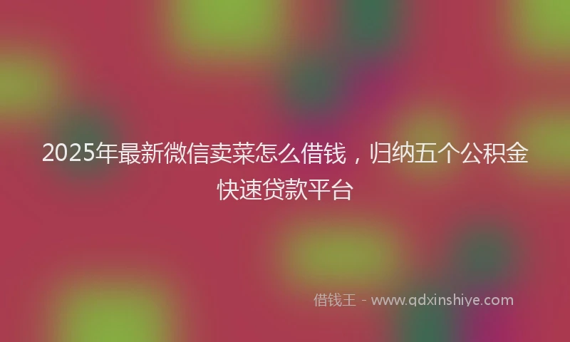 2025年最新微信卖菜怎么借钱，归纳五个公积金快速贷款平台