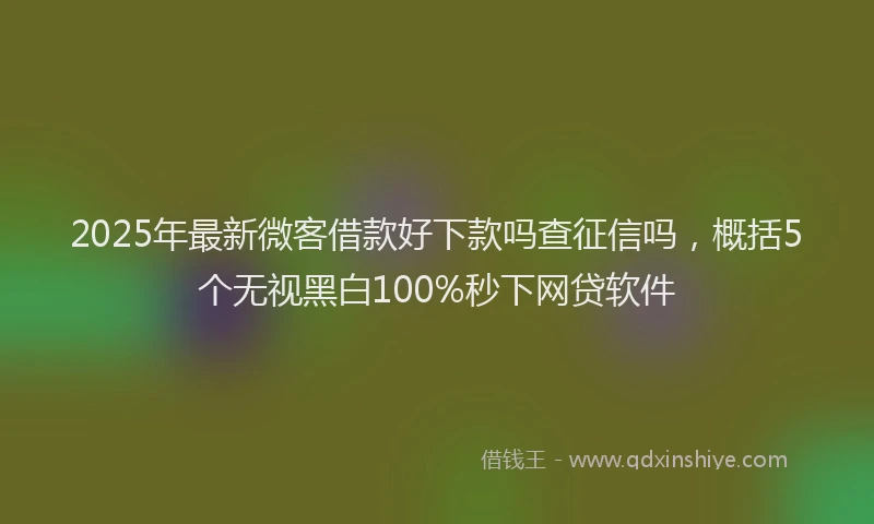 2025年最新微客借款好下款吗查征信吗，概括5个无视黑白100%秒下网贷软件