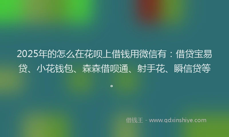 2025年的怎么在花呗上借钱用微信有：借贷宝易贷、小花钱包、森森借呗通、射手花、瞬信贷等。