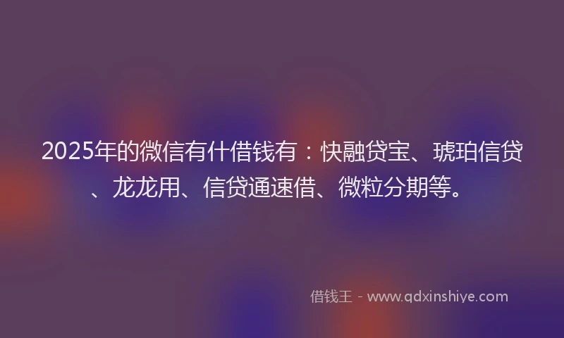 2025年的微信有什借钱有：快融贷宝、琥珀信贷、龙龙用、信贷通速借、微粒分期等。