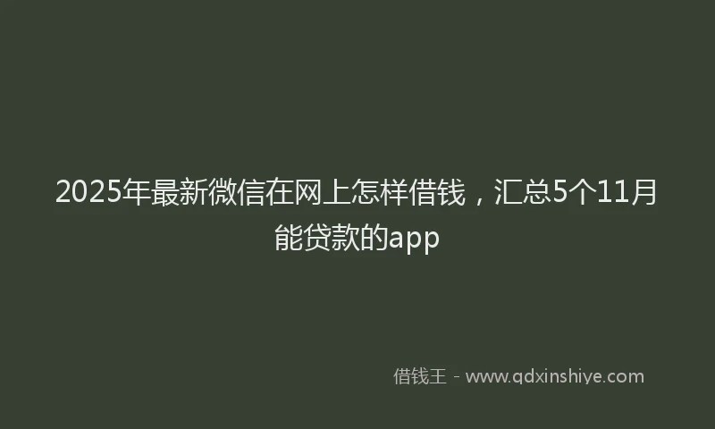 2025年最新微信在网上怎样借钱，汇总5个11月能贷款的app