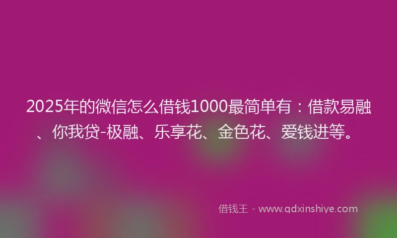 2025年的微信怎么借钱1000最简单有：借款易融、你我贷-极融、乐享花、金色花、爱钱进等。