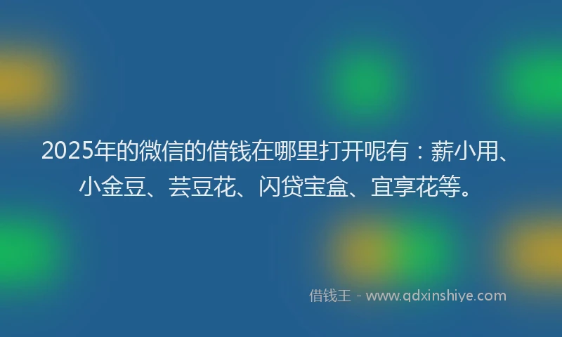 2025年的微信的借钱在哪里打开呢有：薪小用、小金豆、芸豆花、闪贷宝盒、宜享花等。