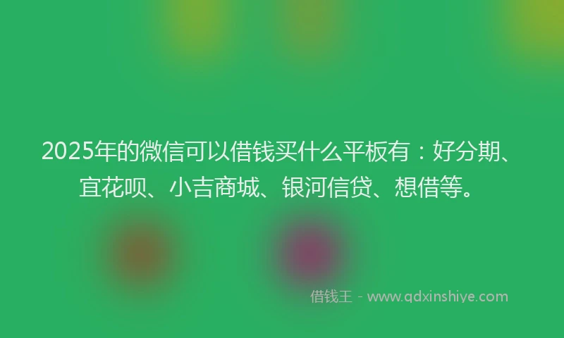 2025年的微信可以借钱买什么平板有：好分期、宜花呗、小吉商城、银河信贷、想借等。