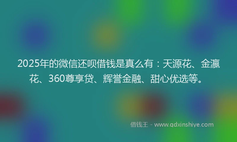 2025年的微信还呗借钱是真么有：天源花、金瀛花、360尊享贷、辉誉金融、甜心优选等。