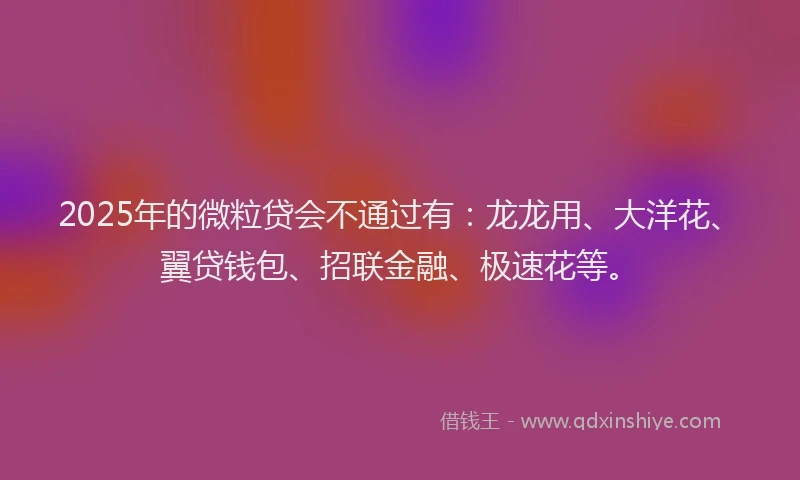 2025年的微粒贷会不通过有：龙龙用、大洋花、翼贷钱包、招联金融、极速花等。