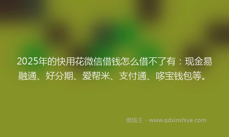 2025年的快用花微信借钱怎么借不了有：现金易融通、好分期、爱帮米、支付通、哆宝钱包等。