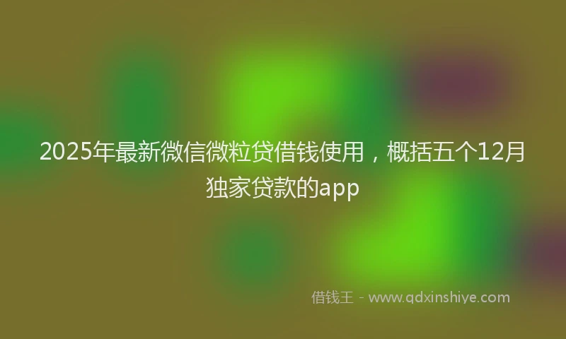 2025年最新微信微粒贷借钱使用，概括五个12月独家贷款的app