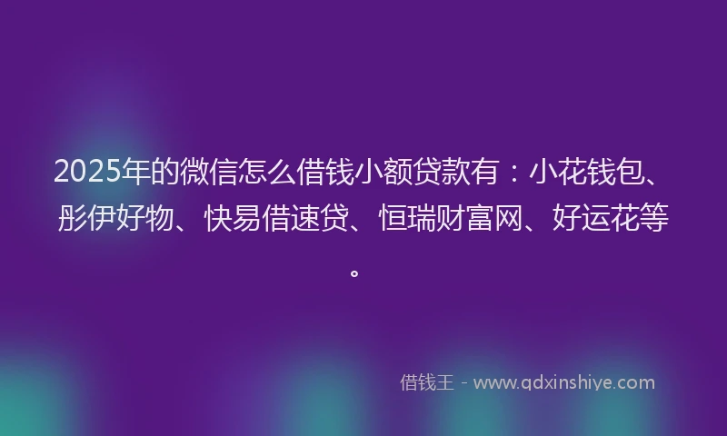 2025年的微信怎么借钱小额贷款有：小花钱包、彤伊好物、快易借速贷、恒瑞财富网、好运花等。