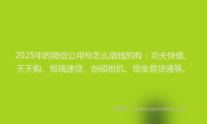 2025年的微信公用号怎么借钱的有：功夫快借、天天购、恒瑞速贷、创硕租机、现金易贷通等。