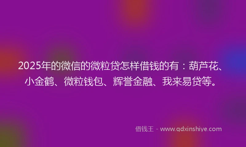 2025年的微信的微粒贷怎样借钱的有：葫芦花、小金鹤、微粒钱包、辉誉金融、我来易贷等。