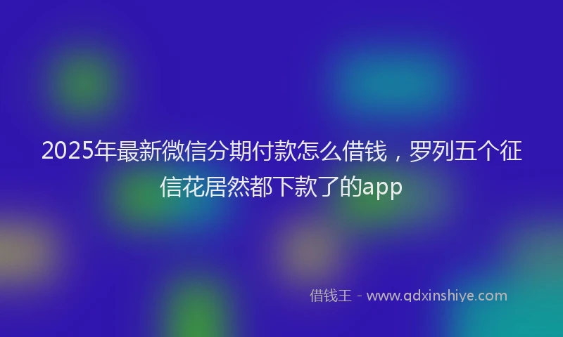 2025年最新微信分期付款怎么借钱,罗列五个征信花居然都下款了的app