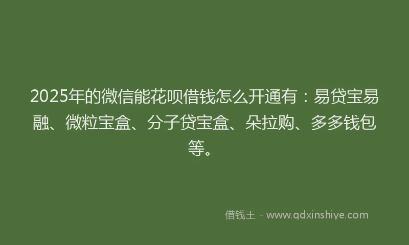 2025年的微信能花呗借钱怎么开通有：易贷宝易融、微粒宝盒、分子贷宝盒、朵拉购、多多钱包等。
