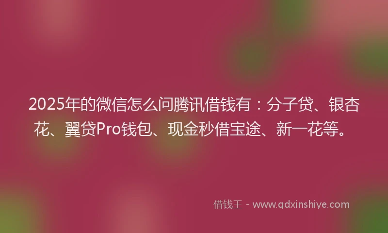 2025年的微信怎么问腾讯借钱有：分子贷、银杏花、翼贷Pro钱包、现金秒借宝途、新一花等。
