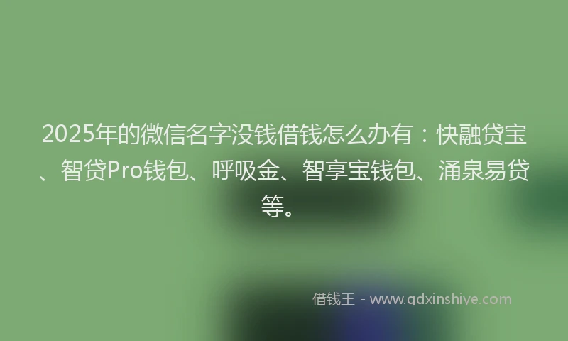 2025年的微信名字没钱借钱怎么办有：快融贷宝、智贷Pro钱包、呼吸金、智享宝钱包、涌泉易贷等。
