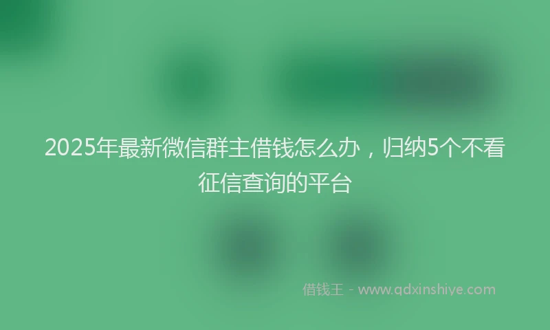 2025年最新微信群主借钱怎么办，归纳5个不看征信查询的平台
