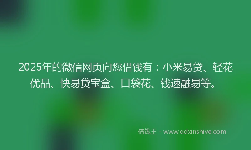 2025年的微信网页向您借钱有：小米易贷、轻花优品、快易贷宝盒、口袋花、钱速融易等。