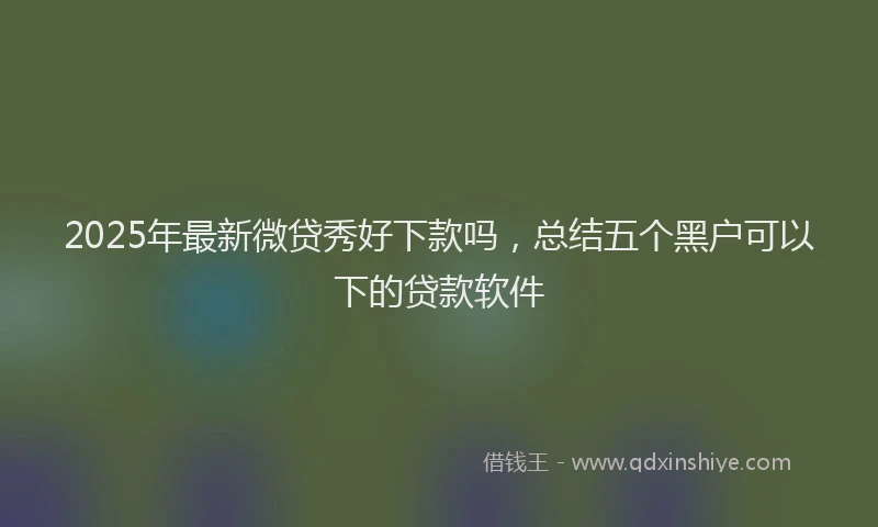 2025年最新微贷秀好下款吗，总结五个黑户可以下的贷款软件