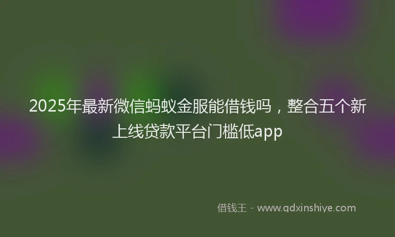 2025年最新微信蚂蚁金服能借钱吗，整合五个新上线贷款平台门槛低app
