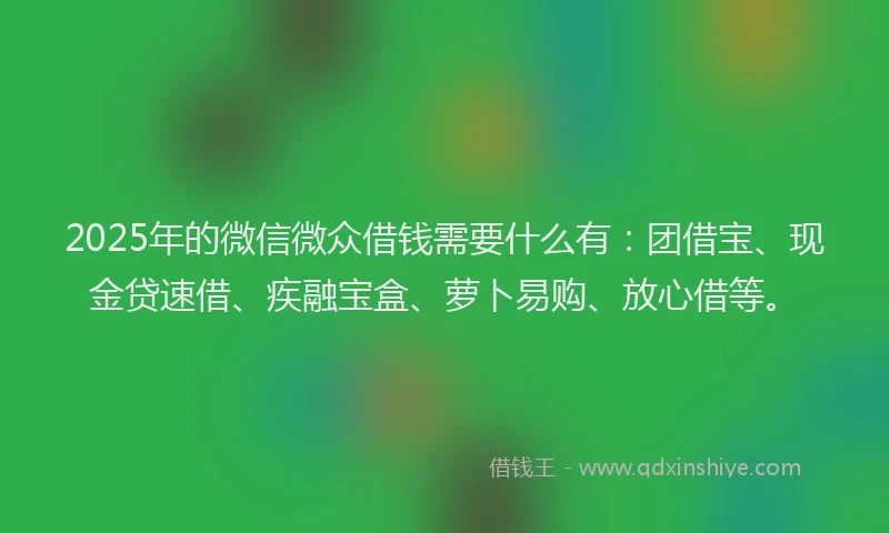 2025年的微信微众借钱需要什么有：团借宝、现金贷速借、疾融宝盒、萝卜易购、放心借等。