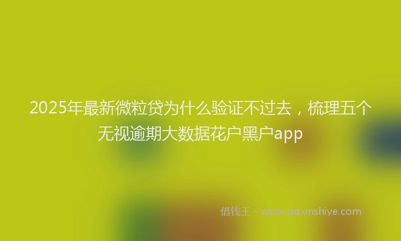 2025年最新微粒贷为什么验证不过去，梳理五个无视逾期大数据花户黑户app