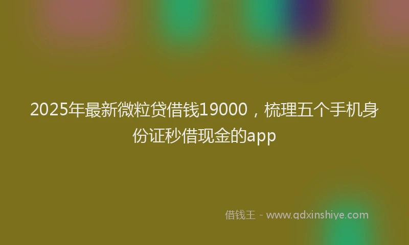 2025年最新微粒贷借钱19000，梳理五个手机身份证秒借现金的app