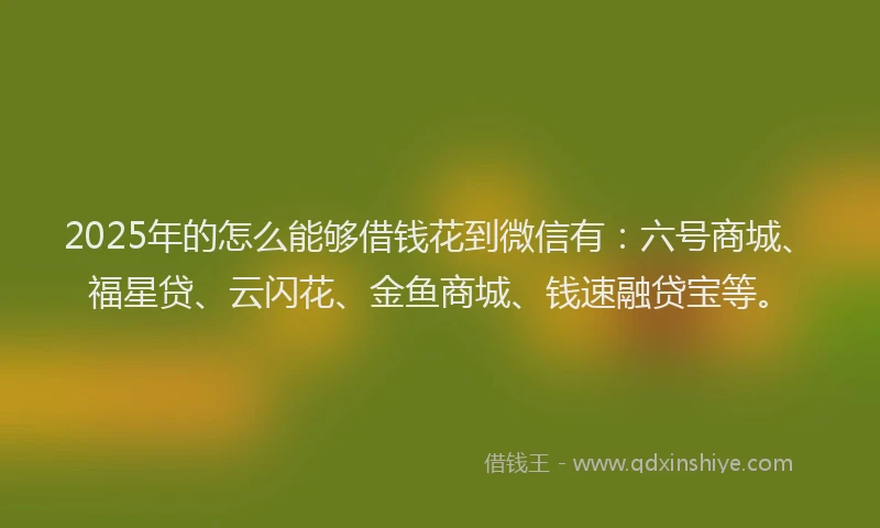 2025年的怎么能够借钱花到微信有：六号商城、福星贷、云闪花、金鱼商城、钱速融贷宝等。