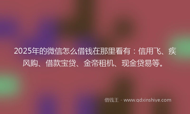 2025年的微信怎么借钱在那里看有：信用飞、疾风购、借款宝贷、金帝租机、现金贷易等。