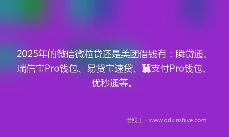 2025年的微信微粒贷还是美团借钱有：瞬贷通、瑞信宝Pro钱包、易贷宝速贷、翼支付Pro钱包、优秒通等。