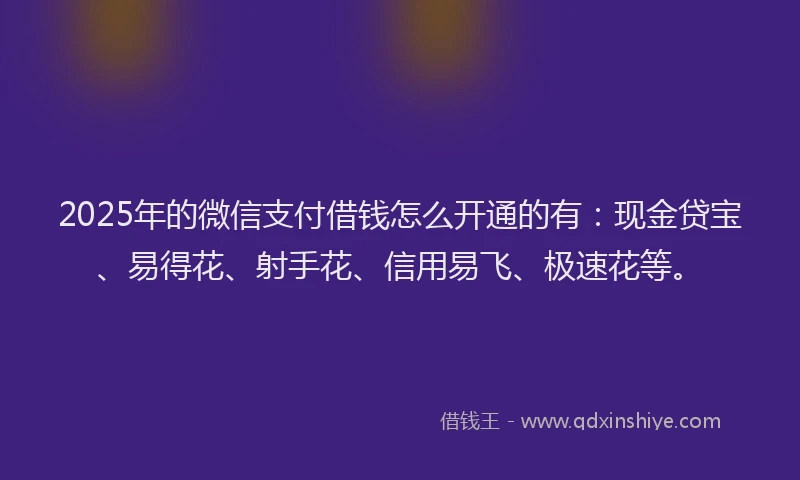 2025年的微信支付借钱怎么开通的有：现金贷宝、易得花、射手花、信用易飞、极速花等。