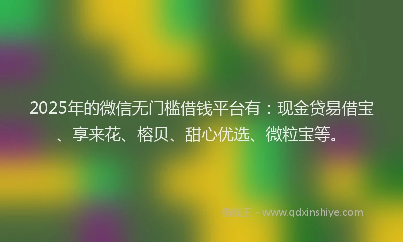 2025年的微信无门槛借钱平台有：现金贷易借宝、享来花、榕贝、甜心优选、微粒宝等。