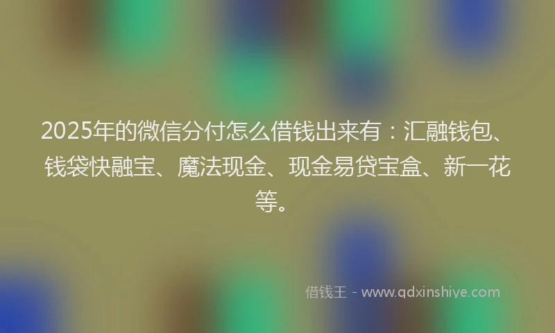 2025年的微信分付怎么借钱出来有：汇融钱包、钱袋快融宝、魔法现金、现金易贷宝盒、新一花等。