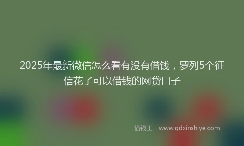 2025年最新微信怎么看有没有借钱，罗列5个征信花了可以借钱的网贷口子