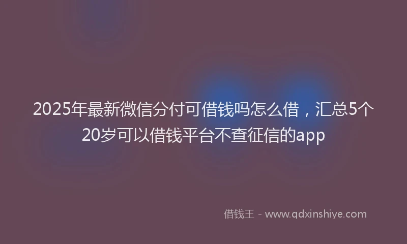 2025年最新微信分付可借钱吗怎么借，汇总5个20岁可以借钱平台不查征信的app