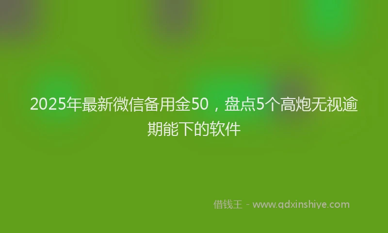 2025年最新微信备用金50，盘点5个高炮无视逾期能下的软件