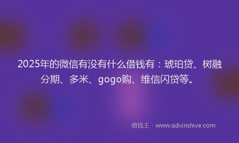 2025年的微信有没有什么借钱有：琥珀贷、树融分期、多米、gogo购、维信闪贷等。