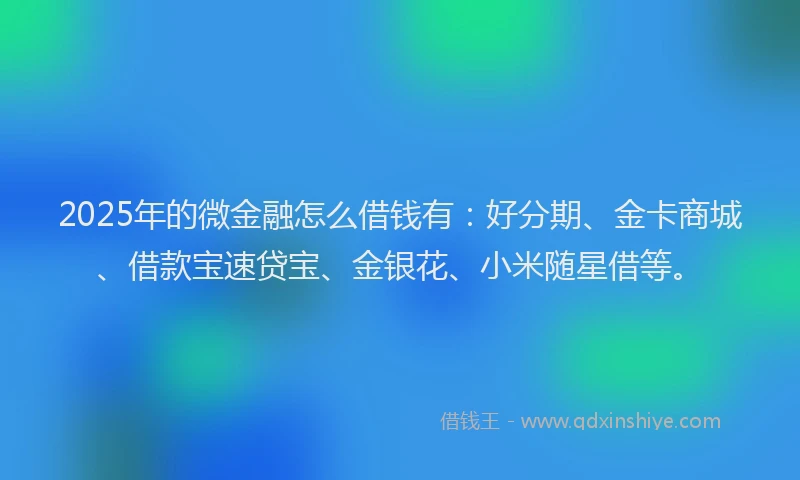 2025年的微金融怎么借钱有：好分期、金卡商城、借款宝速贷宝、金银花、小米随星借等。