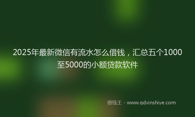 2025年最新微信有流水怎么借钱，汇总五个1000至5000的小额贷款软件