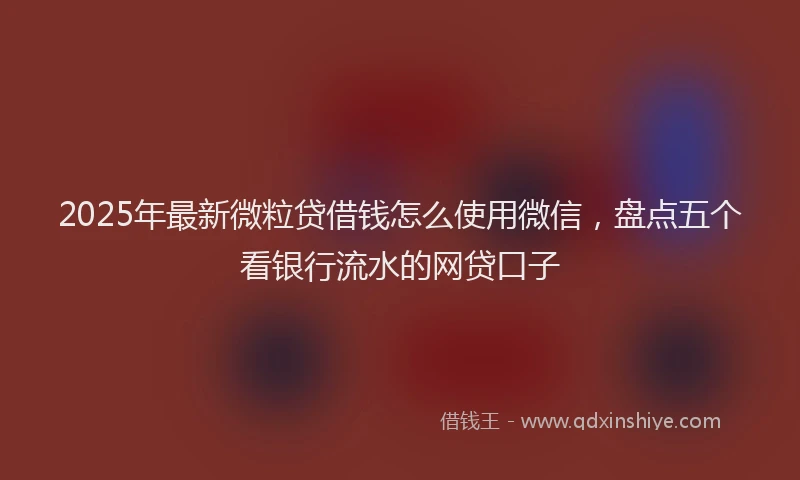 2025年最新微粒贷借钱怎么使用微信，盘点五个看银行流水的网贷口子