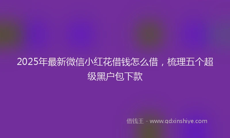 2025年最新微信小红花借钱怎么借，梳理五个超级黑户包下款